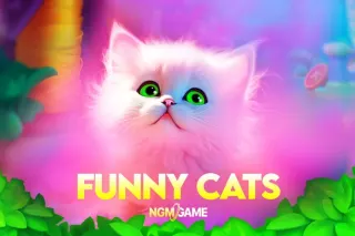 Slot Funny Cats