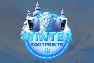 Slot Winter Footprints